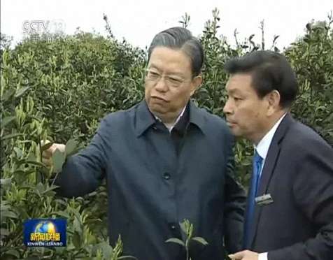 中共中央政治局常委、中紀委書記趙樂際在江西財大總裁37班劉小平同學企業調研