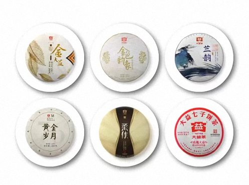 贛州教學點總裁二十四班班集體走訪——大益茶專營店486.jpg
