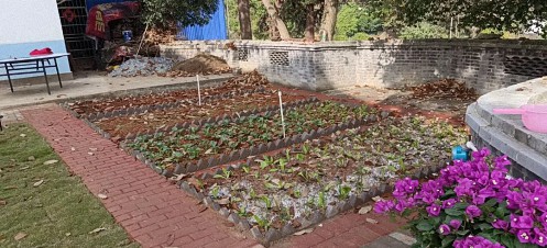 同學有約，梅好時光——江西財大工商管理新商界7班師生梅嶺小聚105.jpg