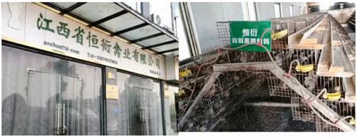 【學員走訪】記走訪江西財大新商界豐城學員單位——天玉油脂、泰林建材、恒衍禽業346_01.jpg